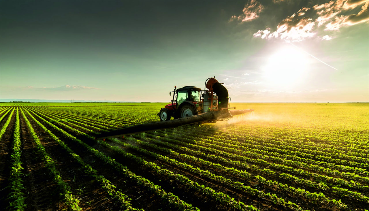 Foliar Application Method
